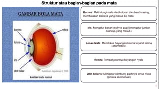 Upil Besar PPT INDRA PENGLIHATAN untuk siswa kelas 8 semester 2 genap | PPTX