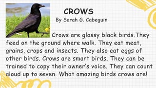 PPT IN ENGLISH.pdf...................... | PDF