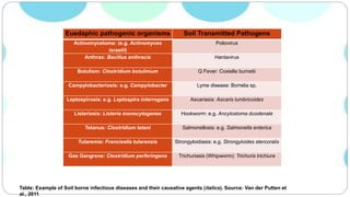 Euedaphic pathogenic organisms Soil Transmitted Pathogens
Actinomycetoma: (e.g. Actinomyces
israelii)
Poliovirus
Anthrax: Bacillus anthracis Hantavirus
Botulism: Clostridium botulinium Q Fever: Coxiella burnetii
Campylobacteriosis: e.g. Campylobacter Lyme disease: Borrelia sp.
Leptospirosis: e.g. Leptospira interrogans Ascariasis: Ascaris lumbricoides
Listeriosis: Listeria monocytogenes Hookworm: e.g. Ancylostoma duodenale
Tetanus: Clostridium tetani Salmonellosis: e.g. Salmonella enterica
Tularemia: Francisella tularensis Strongyloidiasis: e.g. Strongyloides stercoralis
Gas Gangrene: Clostridium perferingens Trichuriasis (Whipworm): Trichuris trichiura
Table: Example of Soil borne infectious diseases and their causative agents (italics). Source: Van der Putten et
al., 2011
 