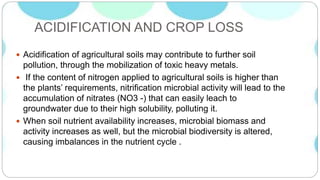 ACIDIFICATION AND CROP LOSS
 Acidification of agricultural soils may contribute to further soil
pollution, through the mobilization of toxic heavy metals.
 If the content of nitrogen applied to agricultural soils is higher than
the plants’ requirements, nitrification microbial activity will lead to the
accumulation of nitrates (NO3 -) that can easily leach to
groundwater due to their high solubility, polluting it.
 When soil nutrient availability increases, microbial biomass and
activity increases as well, but the microbial biodiversity is altered,
causing imbalances in the nutrient cycle .
 