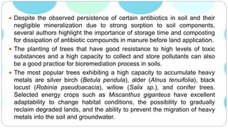  Despite the observed persistence of certain antibiotics in soil and their
negligible mineralization due to strong sorption to soil components,
several authors highlight the importance of storage time and composting
for dissipation of antibiotic compounds in manure before land application.
 The planting of trees that have good resistance to high levels of toxic
substances and a high capacity to collect and store pollutants can also
be a good practice for bioremediation process in soils.
 The most popular trees exhibiting a high capacity to accumulate heavy
metals are silver birch (Betula pendula), alder (Alnus tenuifolia), black
locust (Robinia pseudoacacia), willow (Salix sp.), and conifer trees.
Selected energy crops such as Miscanthus giganteus have excellent
adaptability to change habitat conditions, the possibility to gradually
reclaim degraded lands, and the ability to prevent the migration of heavy
metals into the soil and groundwater.
 