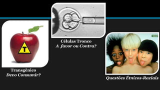 Transgênico
Devo Consumir?
Células Tronco
A favor ou Contra?
Questões Étnicos-Raciais
 