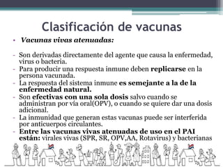 Clasificación de vacunas
• Vacunas vivas atenuadas:
- Son derivadas directamente del agente que causa la enfermedad,
virus o bacteria.
- Para producir una respuesta inmune deben replicarse en la
persona vacunada.
- La respuesta del sistema inmune es semejante a la de la
enfermedad natural.
- Son efectivas con una sola dosis salvo cuando se
administran por vía oral(OPV), o cuando se quiere dar una dosis
adicional.
- La inmunidad que generan estas vacunas puede ser interferida
por anticuerpos circulantes.
- Entre las vacunas vivas atenuadas de uso en el PAI
están: virales vivas (SPR, SR, OPV,AA, Rotavirus) y bacterianas
vivas (BCG).
 