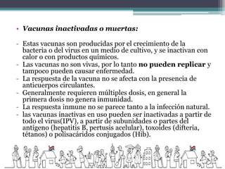 • Vacunas inactivadas o muertas:
- Estas vacunas son producidas por el crecimiento de la
bacteria o del virus en un medio de cultivo, y se inactivan con
calor o con productos químicos.
- Las vacunas no son vivas, por lo tanto no pueden replicar y
tampoco pueden causar enfermedad.
- La respuesta de la vacuna no se afecta con la presencia de
anticuerpos circulantes.
- Generalmente requieren múltiples dosis, en general la
primera dosis no genera inmunidad.
- La respuesta inmune no se parece tanto a la infección natural.
- las vacunas inactivas en uso pueden ser inactivadas a partir de
todo el virus(IPV), a partir de subunidades o partes del
antígeno (hepatitis B, pertusis acelular), toxoides (difteria,
tétanos) o polisacáridos conjugados (Hib).
 
