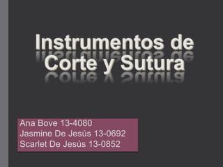 Ana Bove 13-4080
Jasmine De Jesús 13-0692
Scarlet De Jesús 13-0852
 