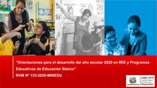 “Orientaciones para el desarrollo del año escolar 2020 en IIEE y Programas
Educativos de Educación Básica”
RVM Nº 133-2020-MINEDU
 