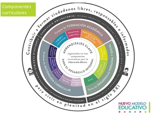 integrada autonomia curricular