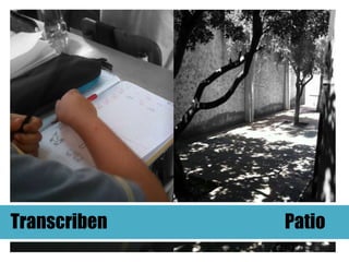 Transcriben   Patio
 