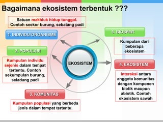 Contoh Individu PPT Interaksi Makhluk Hidup dengan Lingkungan KLS 7 (AF).ppt
