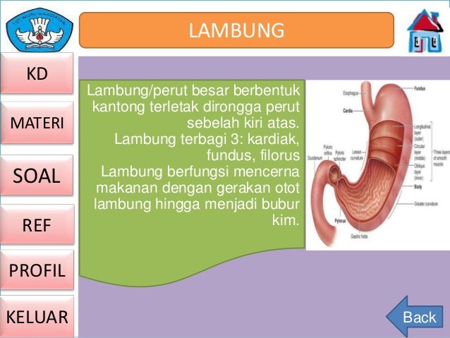 Ppt Interaktif Kls 5