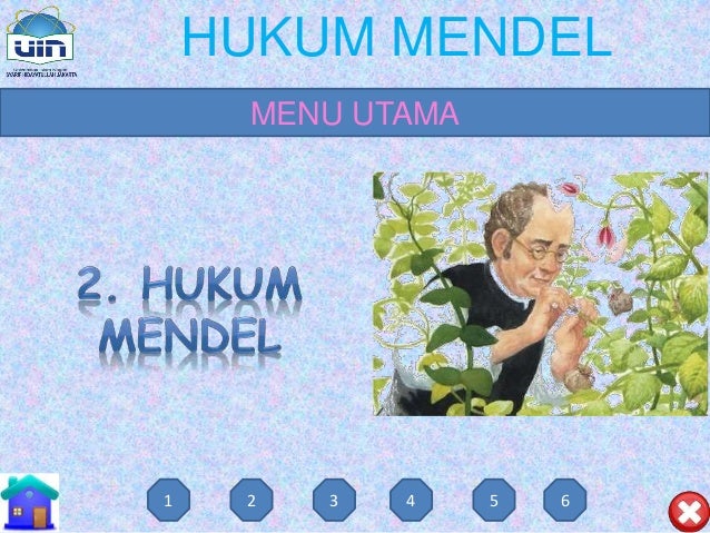 Ppt Interaktif Hukum Mendel