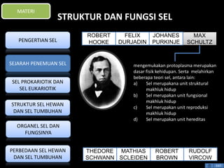 STRUKTUR DAN FUNGSI SEL 
mengemukakan protoplasma merupakan 
dasar fisik kehidupan. Serta melahirkan 
beberapa teori sel, antara lain: 
a) Sel merupakana unit struktural 
makhluk hidup 
b) Sel merupakan unit fungsional 
makhluk hidup 
c) Sel merupakan unit reproduksi 
makhluk hidup 
d) Sel merupakan unit hereditas 
EXIT 
MATERI 
PENGERTIAN SEL 
SEJARAH PENEMUAN SEL 
SEL PROKARIOTIK DAN 
SEL EUKARIOTIK 
STRUKTUR SEL HEWAN 
DAN SEL TUMBUHAN 
ORGANEL SEL DAN 
FUNGSINYA 
PERBEDAAN SEL HEWAN 
DAN SEL TUMBUHAN 
FELIX 
DURJADIN 
RUDOLF 
VIRCOW 
ROBERT 
BROWN 
MATHIAS 
SCLEIDEN 
THEDORE 
SCHWANN 
MAX 
SCHULTZ 
JOHANES 
PURKINJE 
ROBERT 
HOOKE 
 