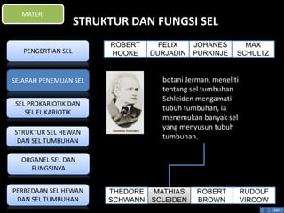 STRUKTUR DAN FUNGSI SEL 
botani Jerman, meneliti 
tentang sel tumbuhan 
Schleiden mengamati 
tubuh tumbuhan, ia 
menemukan banyak sel 
yang menyusun tubuh 
tumbuhan. 
EXIT 
MATERI 
PENGERTIAN SEL 
SEJARAH PENEMUAN SEL 
SEL PROKARIOTIK DAN 
SEL EUKARIOTIK 
STRUKTUR SEL HEWAN 
DAN SEL TUMBUHAN 
ORGANEL SEL DAN 
FUNGSINYA 
PERBEDAAN SEL HEWAN 
DAN SEL TUMBUHAN 
FELIX 
DURJADIN 
RUDOLF 
VIRCOW 
ROBERT 
BROWN 
MATHIAS 
SCLEIDEN 
THEDORE 
SCHWANN 
MAX 
SCHULTZ 
JOHANES 
PURKINJE 
ROBERT 
HOOKE 
 