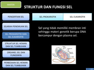 STRUKTUR DAN FUNGSI SEL 
EXIT 
MATERI 
Sel yang tidak memiliki membran inti 
sehingga materi genetik berupa DNA 
bercampur dengan plasma sel. 
PENGERTIAN SEL 
SEJARAH PENEMUAN SEL 
SEL PROKARIOTIK DAN 
SEL EUKARIOTIK 
STRUKTUR SEL HEWAN 
DAN SEL TUMBUHAN 
ORGANEL SEL DAN 
FUNGSINYA 
PERBEDAAN SEL HEWAN 
DAN SEL TUMBUHAN 
SEL PROKARIOTIK SEL EUKARIOTIK 
 