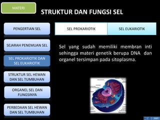 STRUKTUR DAN FUNGSI SEL 
EXIT 
MATERI 
Sel yang sudah memiliki membran inti 
sehingga materi genetik berupa DNA dan 
organel tersimpan pada sitoplasma. 
PENGERTIAN SEL 
SEJARAH PENEMUAN SEL 
SEL PROKARIOTIK DAN 
SEL EUKARIOTIK 
STRUKTUR SEL HEWAN 
DAN SEL TUMBUHAN 
ORGANEL SEL DAN 
FUNGSINYA 
PERBEDAAN SEL HEWAN 
DAN SEL TUMBUHAN 
SEL PROKARIOTIK SEL EUKARIOTIK 
 