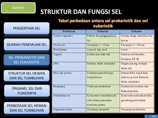 STRUKTUR DAN FUNGSI SEL 
EXIT 
MATERI 
PENGERTIAN SEL 
SEJARAH PENEMUAN SEL 
SEL PROKARIOTIK DAN 
SEL EUKARIOTIK 
STRUKTUR SEL HEWAN 
DAN SEL TUMBUHAN 
ORGANEL SEL DAN 
FUNGSINYA 
PERBEDAAN SEL HEWAN 
DAN SEL TUMBUHAN 
 