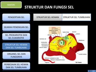 STRUKTUR DAN FUNGSI SEL 
EXIT 
MATERI 
PENGERTIAN SEL 
SEJARAH PENEMUAN SEL 
SEL PROKARIOTIK DAN 
SEL EUKARIOTIK 
STRUKTUR SEL HEWAN 
DAN SEL TUMBUHAN 
ORGANEL SEL DAN 
FUNGSINYA 
PERBEDAAN SEL HEWAN 
DAN SEL TUMBUHAN 
STRUKTUR SEL HEWAN STRUKTUR SEL TUMBUHAN 
 
