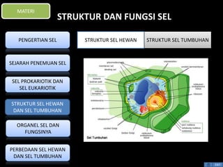 STRUKTUR DAN FUNGSI SEL 
EXIT 
MATERI 
PENGERTIAN SEL 
SEJARAH PENEMUAN SEL 
SEL PROKARIOTIK DAN 
SEL EUKARIOTIK 
STRUKTUR SEL HEWAN 
DAN SEL TUMBUHAN 
ORGANEL SEL DAN 
FUNGSINYA 
PERBEDAAN SEL HEWAN 
DAN SEL TUMBUHAN 
STRUKTUR SEL HEWAN STRUKTUR SEL TUMBUHAN 
 