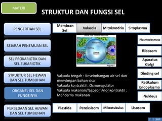 STRUKTUR DAN FUNGSI SEL 
Vakuola tengah : Keseimbangan air sel dan 
menyimpan bahan sisa 
Vakuola kontraktil : Osmoregulator 
Vakuola makanan/fagosom/nonkontraktil : 
Mencerna makanan 
Plasmodesmata 
Ribosom 
Aparatus 
Golgi 
Dinding sel 
Retikulum 
Endoplasma 
EXIT 
MATERI 
PENGERTIAN SEL 
SEJARAH PENEMUAN SEL 
SEL PROKARIOTIK DAN 
SEL EUKARIOTIK 
STRUKTUR SEL HEWAN 
DAN SEL TUMBUHAN 
ORGANEL SEL DAN 
FUNGSINYA 
PERBEDAAN SEL HEWAN 
DAN SEL TUMBUHAN 
Membran 
Sel 
Vakuola Mitokondria Sitoplasma 
Nukleus 
Plastida Peroksisom Mikrotubulus Lisosom 
 