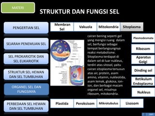 STRUKTUR DAN FUNGSI SEL 
Plasmodesmata 
Ribosom 
Aparatus 
Golgi 
Dinding sel 
Retikulum 
Endoplasma 
EXIT 
cairan bening seperti gel 
yang mengisi ruang dalam 
sel, berfungsi sebagai 
tempat berlangsungnya 
reaksi metabolisme. 
Sitoplasma terdapat di 
dalam sel di luar nukleus, 
terdiri atas sitosol, yaitu 
cairan sitoplasma tersusun 
atas air, protein, asam 
amino, vitamin, nukleotida, 
asam lemak, glukosa, ion-ion, 
dan berbagai macam 
organel sel, misalnya 
ribosom, mitokondria. 
MATERI 
PENGERTIAN SEL 
SEJARAH PENEMUAN SEL 
SEL PROKARIOTIK DAN 
SEL EUKARIOTIK 
STRUKTUR SEL HEWAN 
DAN SEL TUMBUHAN 
ORGANEL SEL DAN 
FUNGSINYA 
PERBEDAAN SEL HEWAN 
DAN SEL TUMBUHAN 
Membran 
Sel 
Vakuola Mitokondria Sitoplasma 
Nukleus 
Plastida Peroksisom Mikrotubulus Lisosom 
 
