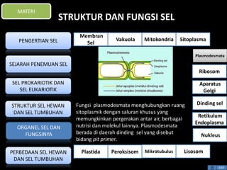 STRUKTUR DAN FUNGSI SEL 
Fungsi plasmodesmata menghubungkan ruang 
sitoplasmik dengan saluran khusus yang 
memungkinkan pergerakan antar air, berbagai 
nutrisi dan molekul lainnya. Plasmodesmata 
berada di daerah dinding sel yang disebut 
bidang pit primer. 
Plasmodesmata 
Ribosom 
Aparatus 
Golgi 
Dinding sel 
Retikulum 
Endoplasma 
EXIT 
MATERI 
PENGERTIAN SEL 
SEJARAH PENEMUAN SEL 
SEL PROKARIOTIK DAN 
SEL EUKARIOTIK 
STRUKTUR SEL HEWAN 
DAN SEL TUMBUHAN 
ORGANEL SEL DAN 
FUNGSINYA 
PERBEDAAN SEL HEWAN 
DAN SEL TUMBUHAN 
Membran 
Sel 
Vakuola Mitokondria Sitoplasma 
Nukleus 
Plastida Peroksisom Mikrotubulus Lisosom 
 