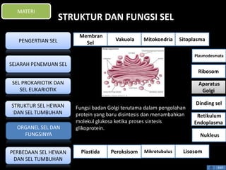 STRUKTUR DAN FUNGSI SEL 
Fungsi badan Golgi terutama dalam pengolahan 
protein yang baru disintesis dan menambahkan 
molekul glukosa ketika proses sintesis 
glikoprotein. 
Plasmodesmata 
Ribosom 
Aparatus 
Golgi 
Dinding sel 
Retikulum 
Endoplasma 
EXIT 
MATERI 
PENGERTIAN SEL 
SEJARAH PENEMUAN SEL 
SEL PROKARIOTIK DAN 
SEL EUKARIOTIK 
STRUKTUR SEL HEWAN 
DAN SEL TUMBUHAN 
ORGANEL SEL DAN 
FUNGSINYA 
PERBEDAAN SEL HEWAN 
DAN SEL TUMBUHAN 
Membran 
Sel 
Vakuola Mitokondria Sitoplasma 
Nukleus 
Plastida Peroksisom Mikrotubulus Lisosom 
 