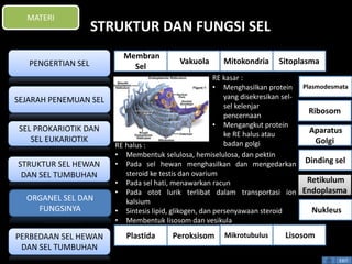 STRUKTUR DAN FUNGSI SEL 
RE kasar : 
• Menghasilkan protein 
yang disekresikan sel-sel 
kelenjar 
pencernaan 
• Mengangkut protein 
ke RE halus atau 
badan golgi 
RE halus : 
• Membentuk selulosa, hemiselulosa, dan pektin 
• Pada sel hewan menghasilkan dan mengedarkan 
steroid ke testis dan ovarium 
• Pada sel hati, menawarkan racun 
• Pada otot lurik terlibat dalam transportasi ion 
kalsium 
• Sintesis lipid, glikogen, dan persenyawaan steroid 
• Membentuk lisosom dan vesikula 
Plasmodesmata 
Ribosom 
Aparatus 
Golgi 
Dinding sel 
Retikulum 
Endoplasma 
EXIT 
MATERI 
PENGERTIAN SEL 
SEJARAH PENEMUAN SEL 
SEL PROKARIOTIK DAN 
SEL EUKARIOTIK 
STRUKTUR SEL HEWAN 
DAN SEL TUMBUHAN 
ORGANEL SEL DAN 
FUNGSINYA 
PERBEDAAN SEL HEWAN 
DAN SEL TUMBUHAN 
Membran 
Sel 
Vakuola Mitokondria Sitoplasma 
Nukleus 
Plastida Peroksisom Mikrotubulus Lisosom 
 