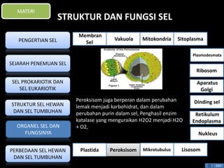 STRUKTUR DAN FUNGSI SEL 
Peroksisom juga berperan dalam perubahan 
lemak menjadi karbohidrat, dan dalam 
perubahan purin dalam sel, Penghasil enzim 
katalase yang menguraikan H2O2 menjadi H2O 
+ O2, 
Plasmodesmata 
Ribosom 
Aparatus 
Golgi 
Dinding sel 
Retikulum 
Endoplasma 
EXIT 
MATERI 
PENGERTIAN SEL 
SEJARAH PENEMUAN SEL 
SEL PROKARIOTIK DAN 
SEL EUKARIOTIK 
STRUKTUR SEL HEWAN 
DAN SEL TUMBUHAN 
ORGANEL SEL DAN 
FUNGSINYA 
PERBEDAAN SEL HEWAN 
DAN SEL TUMBUHAN 
Membran 
Sel 
Vakuola Mitokondria Sitoplasma 
Nukleus 
Plastida Peroksisom Mikrotubulus Lisosom 
 