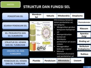 STRUKTUR DAN FUNGSI SEL 
Mikrotubulus berperan 
dalam pembelahan sel, 
dan berguna 
• Mengerahkan gerakan 
komponen-komponen 
sel 
• Mempertahankan 
bentuk sel 
• Membantu 
pembelahan sel secara 
mitosis 
• Menggerakkan 
beberapa organel 
• Menarik 
kromosom/kromatid 
saat pembelahan sel 
Plasmodesmata 
Ribosom 
Aparatus 
Golgi 
Dinding sel 
Retikulum 
Endoplasma 
EXIT 
MATERI 
PENGERTIAN SEL 
SEJARAH PENEMUAN SEL 
SEL PROKARIOTIK DAN 
SEL EUKARIOTIK 
STRUKTUR SEL HEWAN 
DAN SEL TUMBUHAN 
ORGANEL SEL DAN 
FUNGSINYA 
PERBEDAAN SEL HEWAN 
DAN SEL TUMBUHAN 
Membran 
Sel 
Vakuola Mitokondria Sitoplasma 
Nukleus 
Plastida Peroksisom Mikrotubulus Lisosom 
 