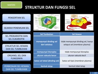 STRUKTUR DAN FUNGSI SEL 
Sel Tumbuhan Sel Hewan 
mempunyai dinding sel 
dari selulosa 
tidak mempunyai dinding sel, hanya 
selaput sel (membran plasma) 
mempunyai kloroplas tidak mempunyai kloroplas 
ukuran vakuola besar ukuran vakuola kecil 
batas sel tebal (dinding sel) batas sel tipis (membran plasma) 
bentuk tetap bentuk tidak tetap 
EXIT 
MATERI 
PENGERTIAN SEL 
SEJARAH PENEMUAN SEL 
SEL PROKARIOTIK DAN 
SEL EUKARIOTIK 
STRUKTUR SEL HEWAN 
DAN SEL TUMBUHAN 
ORGANEL SEL DAN 
FUNGSINYA 
PERBEDAAN SEL HEWAN 
DAN SEL TUMBUHAN 
 