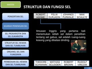 STRUKTUR DAN FUNGSI SEL 
Ilmuwan Inggris yang pertama kali 
menemukan istilah sel dalam penelitian 
tentang sel gabus, sel adalah ruang-ruang 
kosong yang dibatasi dinding. 
EXIT 
MATERI 
PENGERTIAN SEL 
SEJARAH PENEMUAN SEL 
SEL PROKARIOTIK DAN 
SEL EUKARIOTIK 
STRUKTUR SEL HEWAN 
DAN SEL TUMBUHAN 
ORGANEL SEL DAN 
FUNGSINYA 
PERBEDAAN SEL HEWAN 
DAN SEL TUMBUHAN 
FELIX 
DURJADIN 
RUDOLF 
VIRCOW 
ROBERT 
BROWN 
MATHIAS 
SCLEIDEN 
THEDORE 
SCHWANN 
MAX 
SCHULTZ 
JOHANES 
PURKINJE 
ROBERT 
HOOKE 
 