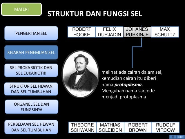 Ppt interaktif sel irchamnil lutfi b 2013