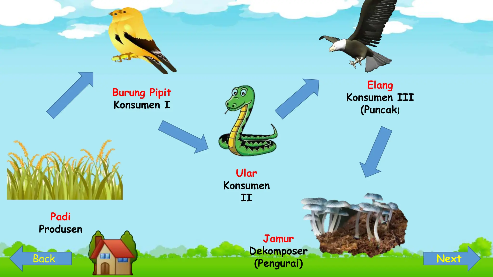 PPT Interaktif_Rantai Makanan_.pptx
