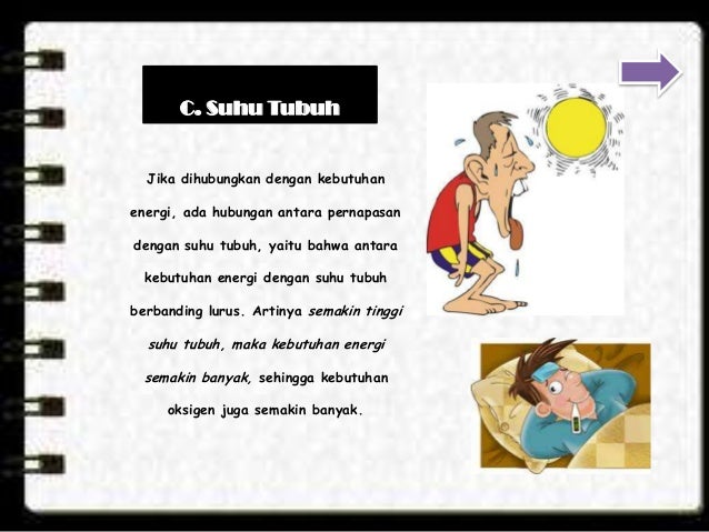 Ppt Interaktif Sistem Pernapasan Manusia