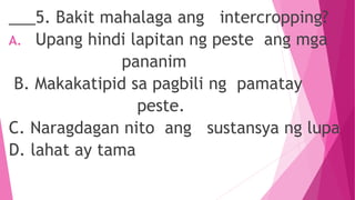 ___5. Bakit mahalaga ang intercropping?
A. Upang hindi lapitan ng peste ang mga
pananim
B. Makakatipid sa pagbili ng pamatay
peste.
C. Naragdagan nito ang sustansya ng lupa
D. lahat ay tama
 