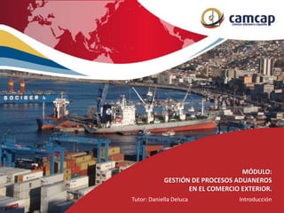 MÓDULO:
GESTIÓN DE PROCESOS ADUANEROS
EN EL COMERCIO EXTERIOR.
Tutor: Daniella Deluca Introducción
 