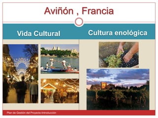 Vida CulturalCultura enológica Plan de Gestión del Proyecto-IntroducciónAviñón , Francia