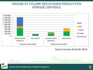 ORIGINE ET VOLUME DES SCIAGES PRODUITS EN
AFRIQUE CENTRALE
(source: Lescuyer & Cerutti, 2013)
 