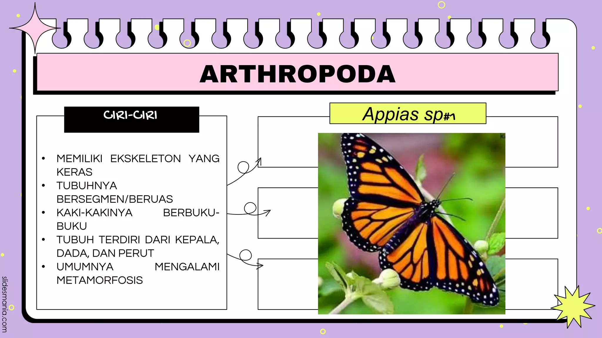 PPT INVERTEBRATA.pptx