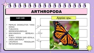 Appias sp#1
effect #2
effect #3
CIRI-CIRI
• MEMILIKI EKSKELETON YANG
KERAS
• TUBUHNYA
BERSEGMEN/BERUAS
• KAKI-KAKINYA BERBUKU-
BUKU
• TUBUH TERDIRI DARI KEPALA,
DADA, DAN PERUT
• UMUMNYA MENGALAMI
METAMORFOSIS
Type something here.
Type something here.
ARTHROPODA
 