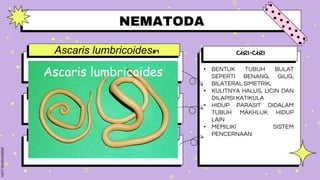 CIRI-CIRI
• BENTUK TUBUH BULAT
SEPERTI BENANG, GILIG,
BILATERAL SIMETRIK,
• KULITNYA HALUS, LICIN DAN
DILAPISI KATIKULA
• HIDUP PARASIT DIDALAM
TUBUH MAKHLUK HIDUP
LAIN
• MEMILIKI SISTEM
PENCERNAAN
Ascaris lumbricoides#1
evidence #2
evidence #3
.
Type something here.
Type something here.
NEMATODA
 