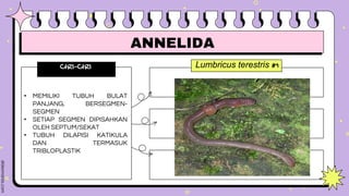 Lumbricus terestris #1
effect #2
effect #3
CIRI-CIRI
• MEMILIKI TUBUH BULAT
PANJANG, BERSEGMEN-
SEGMEN
• SETIAP SEGMEN DIPISAHKAN
OLEH SEPTUM/SEKAT
• TUBUH DILAPISI KATIKULA
DAN TERMASUK
TRIBLOPLASTIK
Type something here.
Type something here.
ANNELIDA
 
