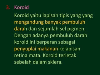 3. Koroid
   Koroid yaitu lapisan tipis yang yang
   mengandung banyak pembuluh
   darah dan sejumlah sel pigmen.
   Dengan adanya pembuluh darah
   koroid ini berperan sebagai
   penyuplai makanan kelapisan
   retina mata. Koroid terletak
   sebelah dalam sklera.
 