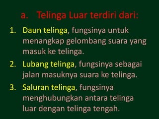 a. Telinga Luar terdiri dari:
1. Daun telinga, fungsinya untuk
   menangkap gelombang suara yang
   masuk ke telinga.
2. Lubang telinga, fungsinya sebagai
   jalan masuknya suara ke telinga.
3. Saluran telinga, fungsinya
   menghubungkan antara telinga
   luar dengan telinga tengah.
 