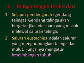 b. Telinga tengah terdiri dari:
1. Selaput pendengaran (gendang
   telinga) Gendang telinga akan
   bergetar jika ada suara yang masuk
   melewat saluran telinga.
2. Saluran eustachius adalah saluran
   yang menghubungkan telinga dan
   mulut. Fungsinya mengatur
   keseimbangan tubuh.
 