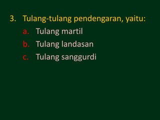 3. Tulang-tulang pendengaran, yaitu:
   a. Tulang martil
   b. Tulang landasan
   c. Tulang sanggurdi
 