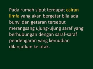Pada rumah siput terdapat cairan
limfa yang akan bergetar bila ada
bunyi dan getaran tersebut
merangsang ujung-ujung saraf yang
berhubungan dengan saraf-saraf
pendengaran yang kemudian
dilanjutkan ke otak.
 