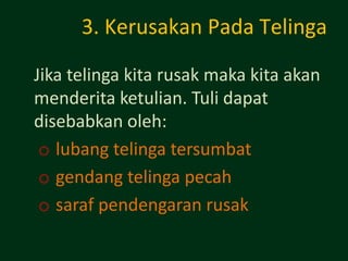 3. Kerusakan Pada Telinga

Jika telinga kita rusak maka kita akan
menderita ketulian. Tuli dapat
disebabkan oleh:
 o lubang telinga tersumbat
 o gendang telinga pecah
 o saraf pendengaran rusak
 