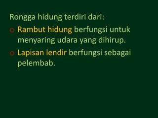Rongga hidung terdiri dari:
o Rambut hidung berfungsi untuk
  menyaring udara yang dihirup.
o Lapisan lendir berfungsi sebagai
  pelembab.
 