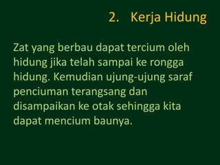 2. Kerja Hidung

Zat yang berbau dapat tercium oleh
hidung jika telah sampai ke rongga
hidung. Kemudian ujung-ujung saraf
penciuman terangsang dan
disampaikan ke otak sehingga kita
dapat mencium baunya.
 